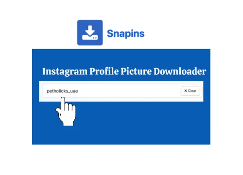 Paste username