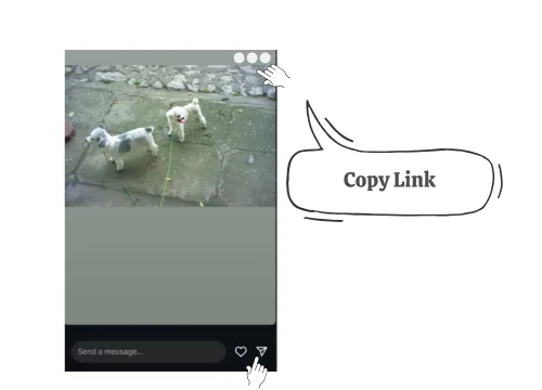 Copy story link