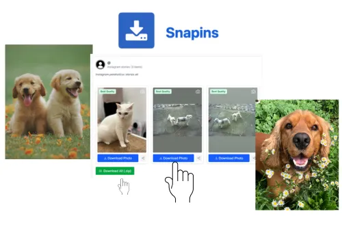 Download instagram story