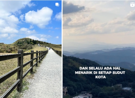 Instagram video downloader